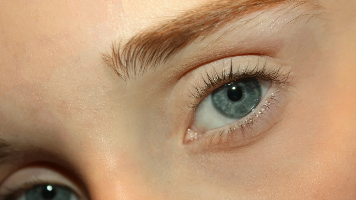 Gros plan sur les yeux d'une femme aux cils rehaussés de façon naturelle